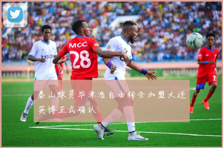 泰山球员毕津浩自由转会加盟大连英博正式确认